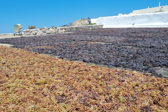 Tour image 5